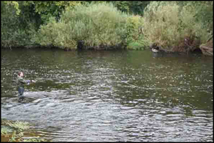 Fly fishing for salmon on the Nore