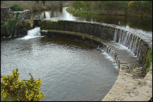 The Basin, a major barrier to migration, at the confluence of the Nore and Delour